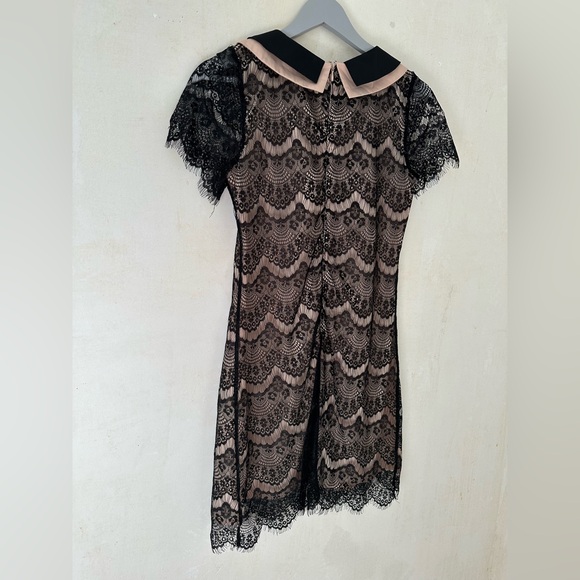 A’REVE Anthropologie Lace Short Sleeve Peter Pan Collar Mini Dress Size Small - Picture 8 of 9